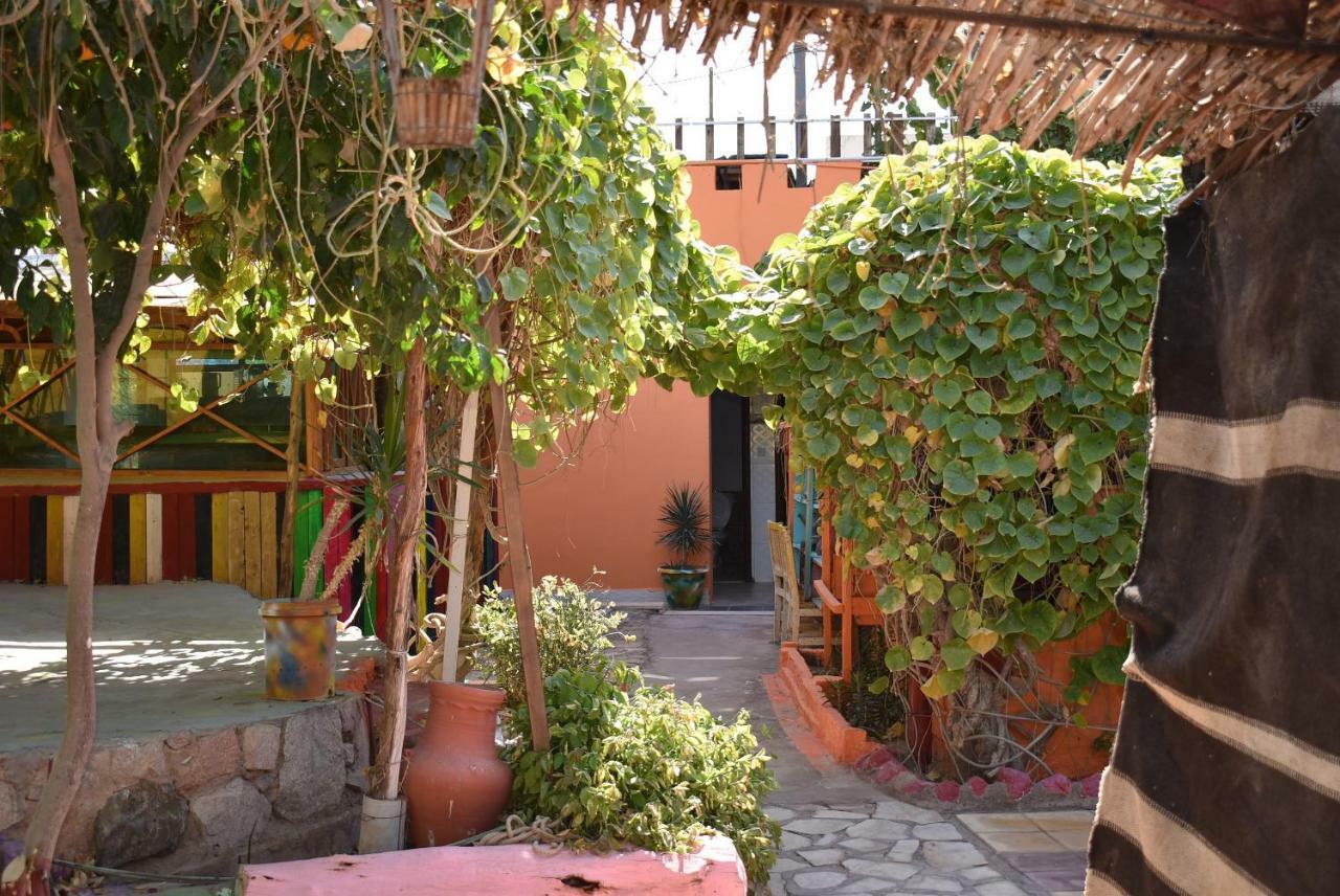 Bedouin Garden Village, Hotel Dive Akaba Kültér fotó